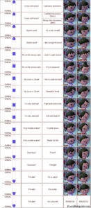 Animal Crossing New Leaf Hair Guide - ACNL Hair Guide